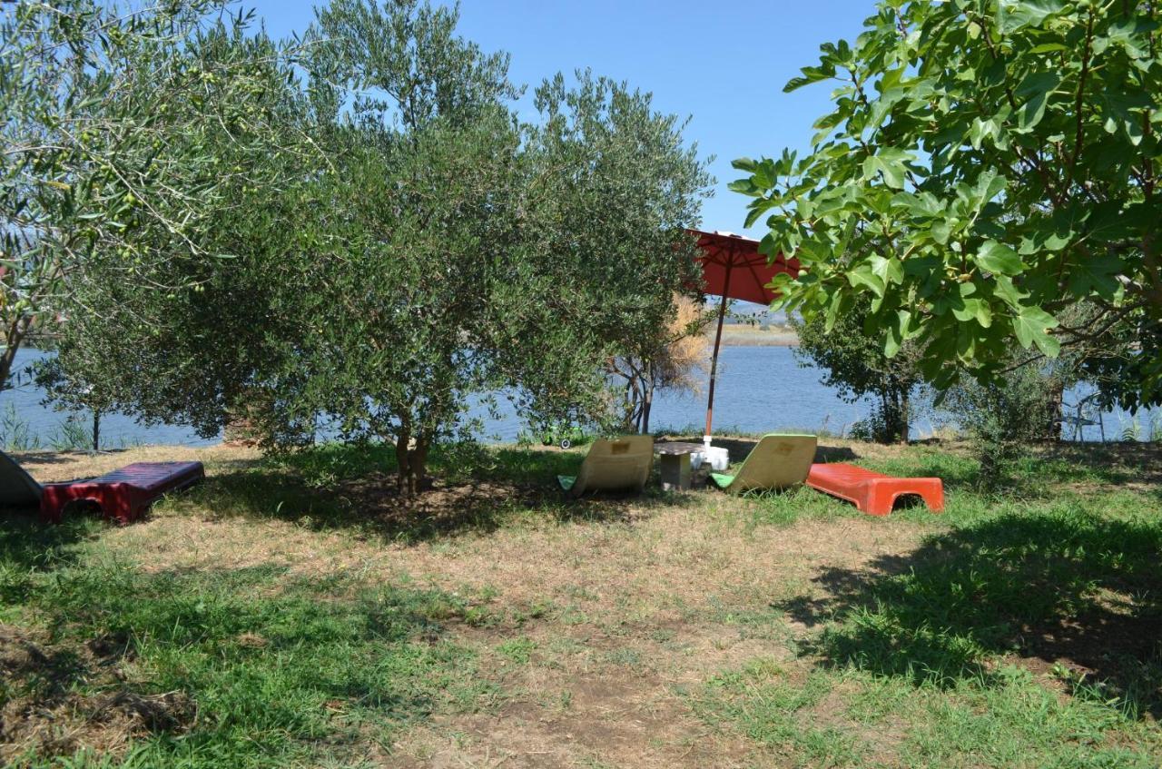Riverside Apartments Chiara Ulcinj Eksteriør bilde